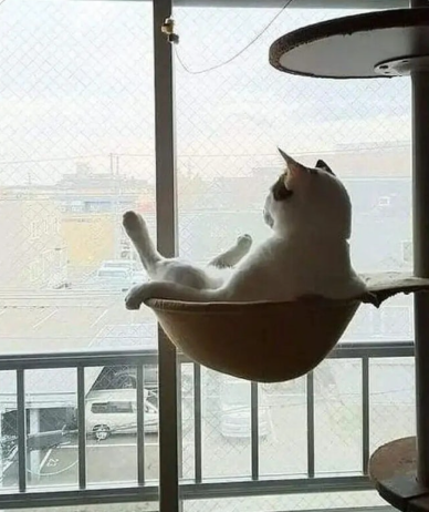 헌타온.png