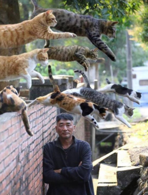 고양이 어셈블.png