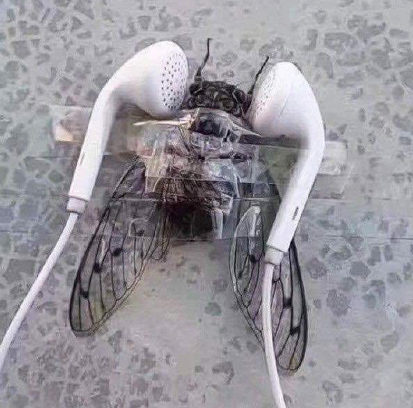 복수.png
