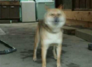 혼냈더니.png