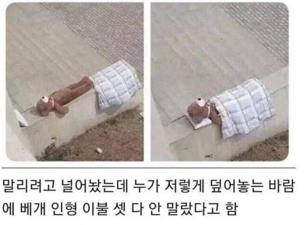 이블.png