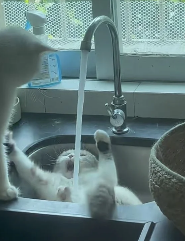 자 비밀기지.png