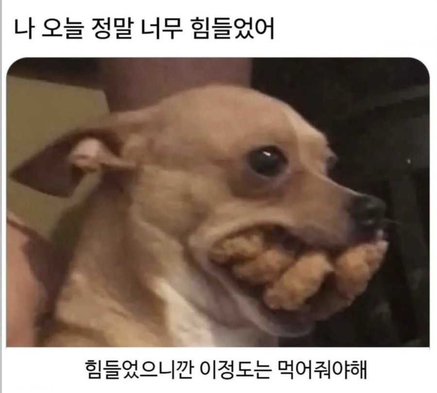 900w_20251201174629_d60c8DhdBn.png