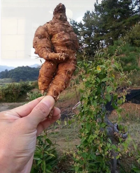 1_웃긴카톡_2.png