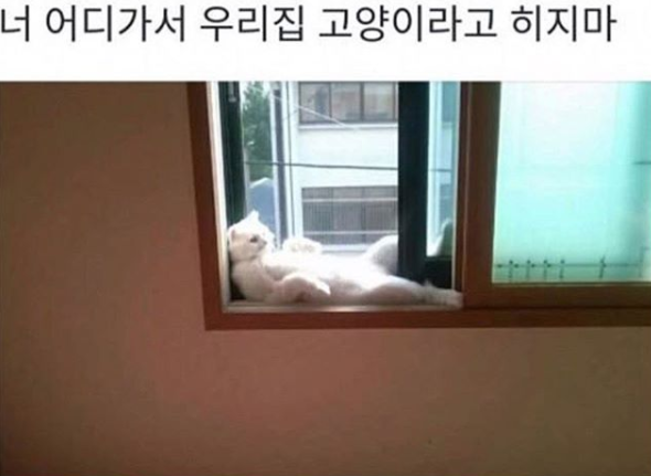 2_웃긴사진_모음_5.png