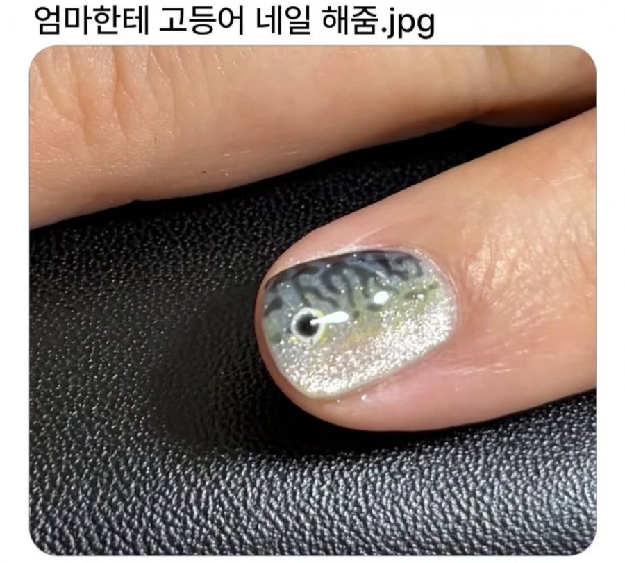 900w_20251224161943_fj5R6kOMdL.jpeg