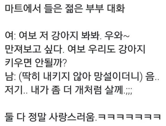 2_웃긴_최신짤_모음_1.png