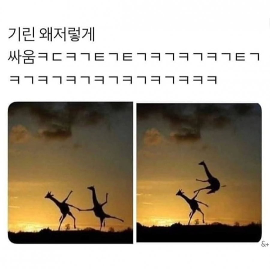 900w_20251201175616_IuXqCBhWBj.png