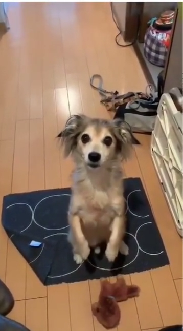 videoframe_4557.png