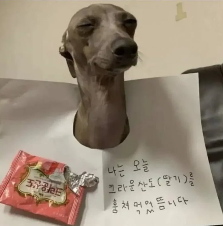 20251202190750_d0dtYTLhJU.png