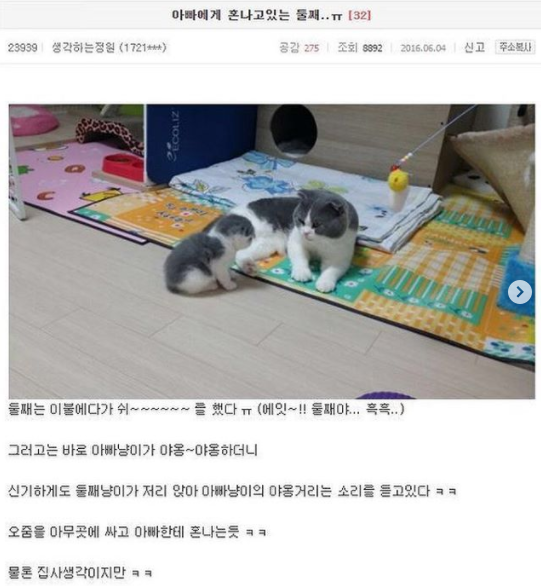 3_웃긴_최신글_모음_2.png