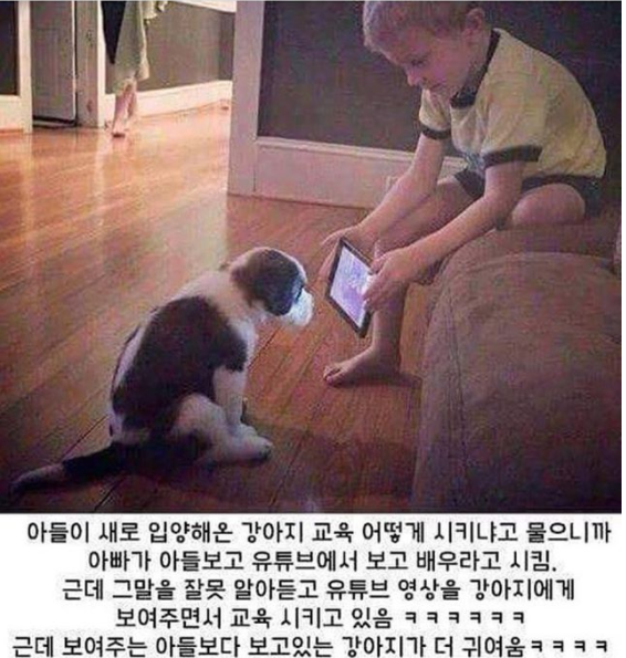 5_꿀잼보장_웃긴짤_웃긴글_5.png