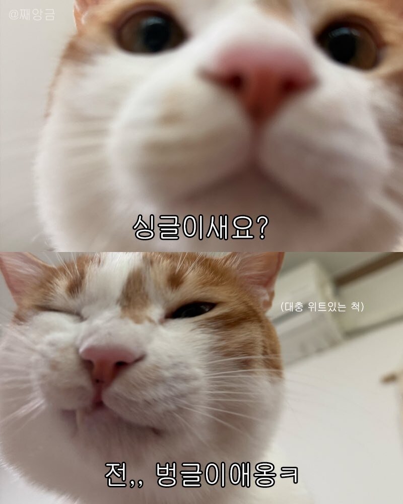 20251212221309_NLxY8bZBaQ.jpg