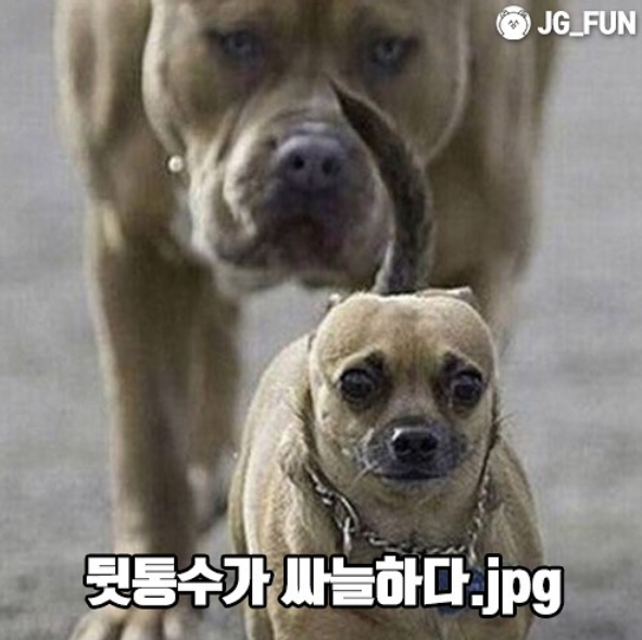 3_재밌는_카톡_모음_2.png