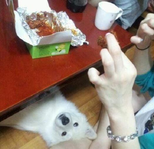 DAwZ1763566452_591348612.jpg