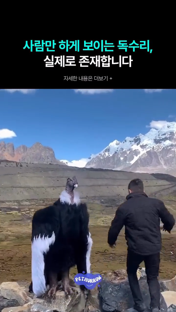 videoframe_6236.png