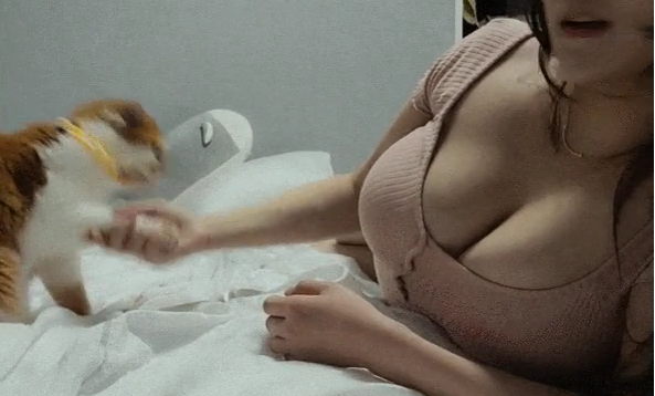 1767224166386-6wveh0bw.png