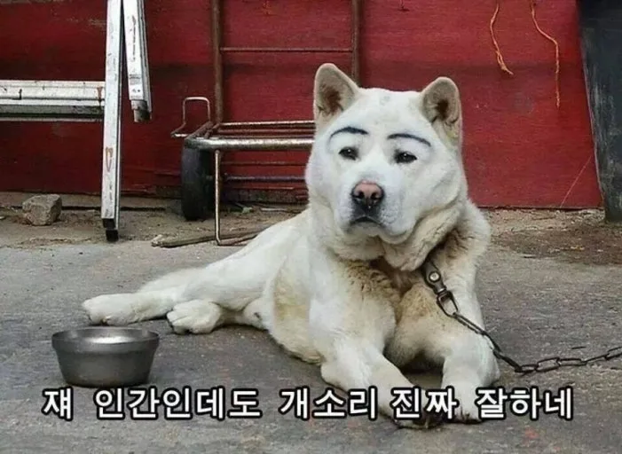 다운로드 2.jpg