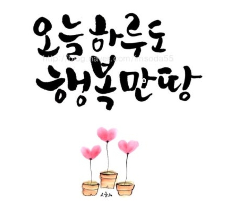 Screenshot_20251229_081749_NAVER.jpg