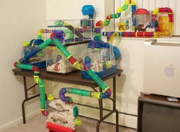 ㅇㄴㅁㅇ.png
