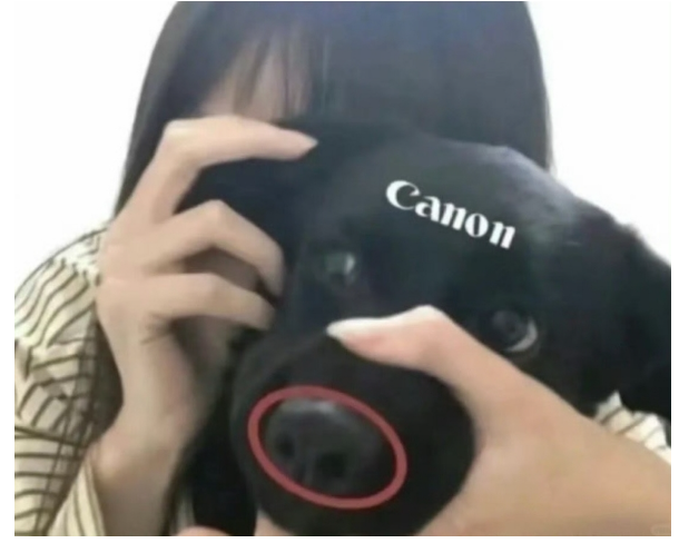 카메라.png