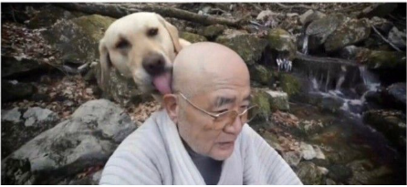 강아지 츄파츄스.png