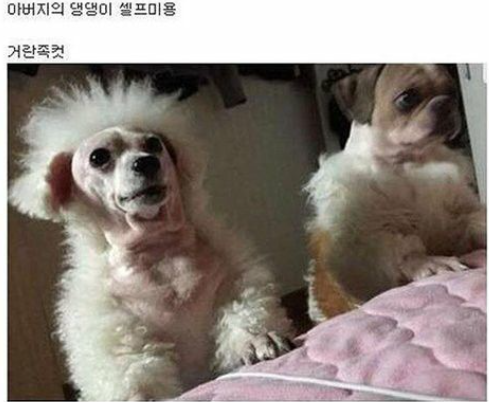 ㅋ.png
