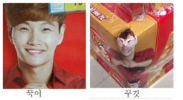 꾹과 구깃.png