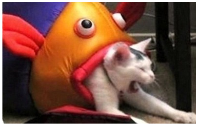 고양이.png