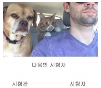 운전시험.png
