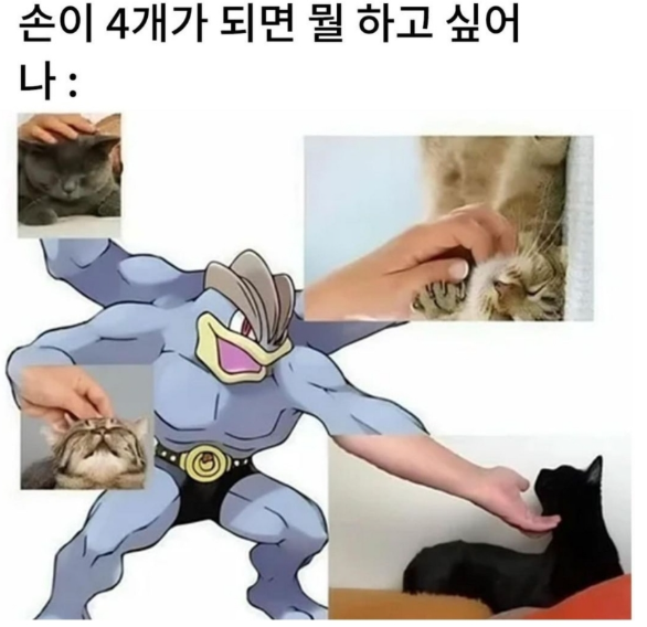 손이 ４개.png