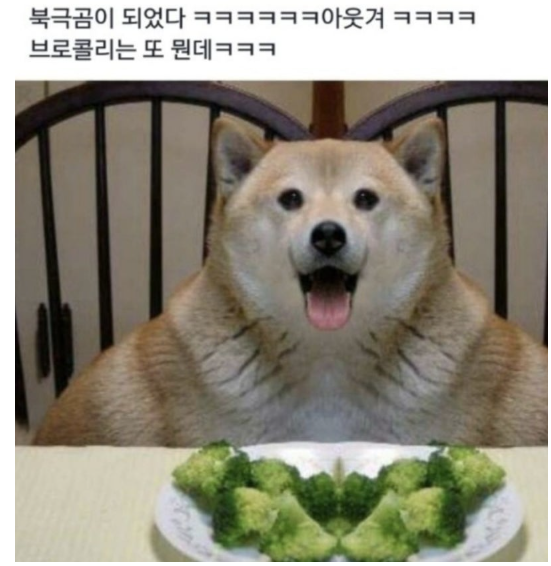 ㅁㄴㅇㅁㄴ.png
