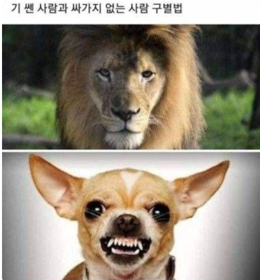 ㄴ.png