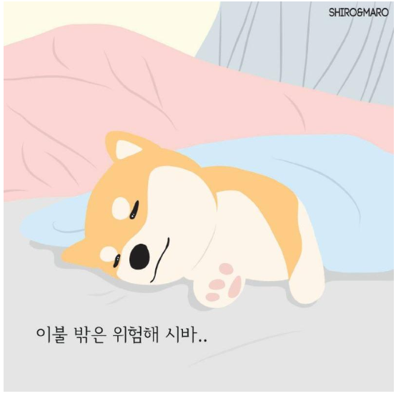 이블.png