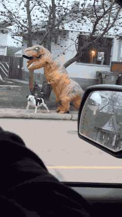 rhdfyr.gif