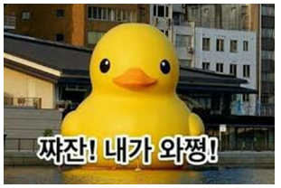 와쩡.png