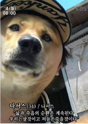 나서스.png