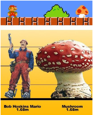 버섯.png