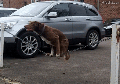 asd.gif