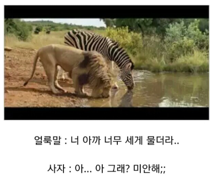 동물원.png