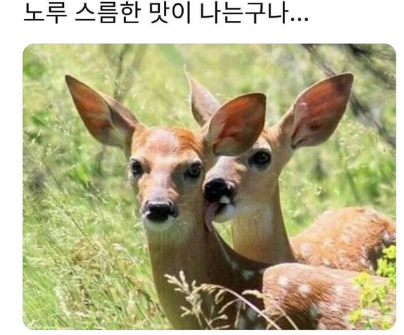 123.png