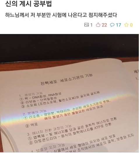 시험.png