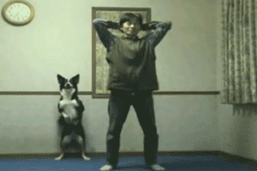 tmznjxm.gif