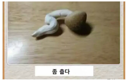 버섯.png