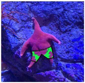 뚱이.png