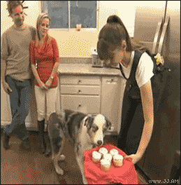 sk wnsmsrj dk.gif