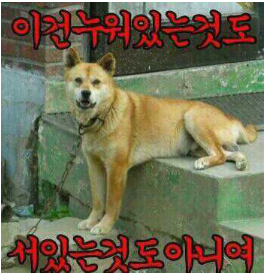 누지도 서지도.png