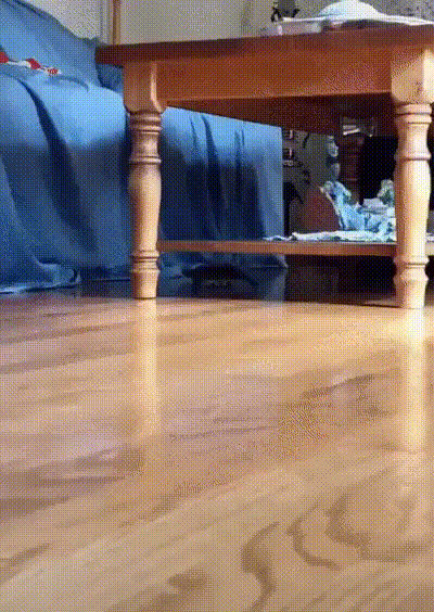 xhRL.gif