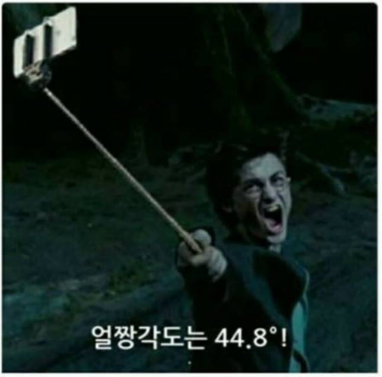 얼짱.png