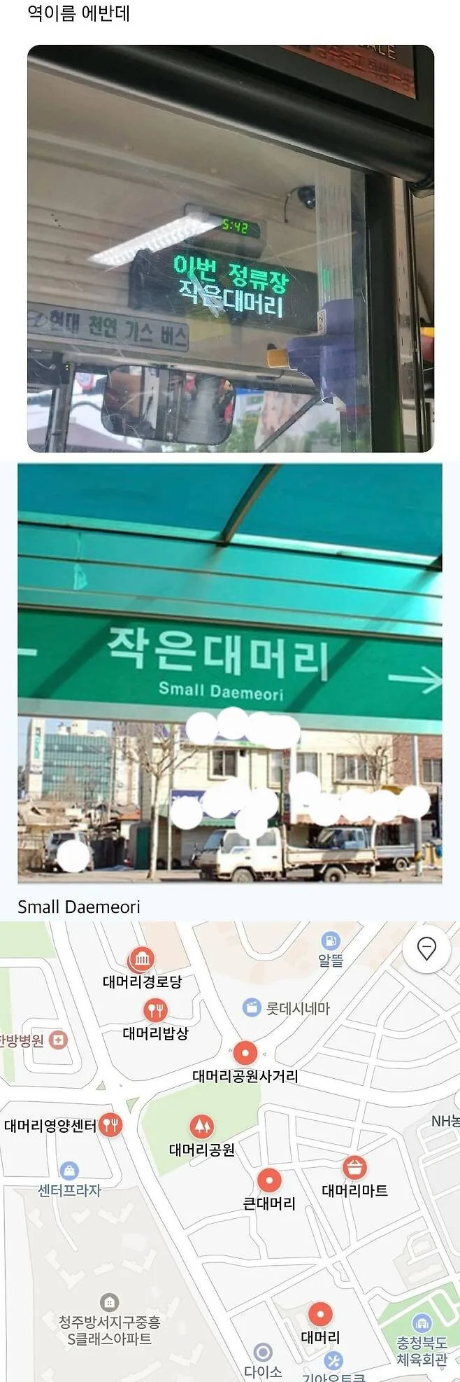 대머리.jpg